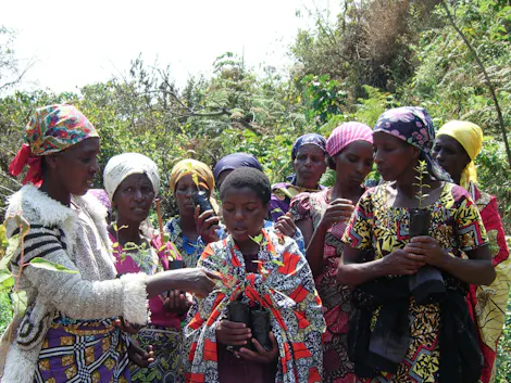 Protecting and Restoring the Itombwe Rainforest through Community Action in the Congo